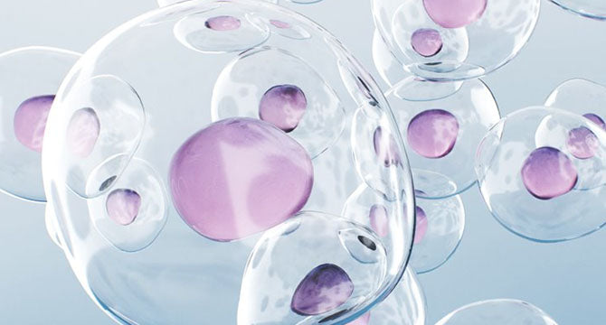 New_Pro_Website_-_Technology_imageMobile