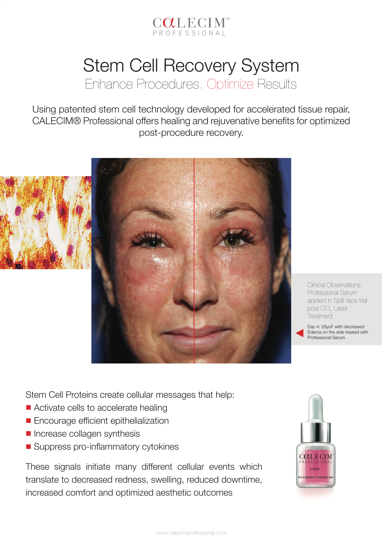 PROFESSIONAL SERUM POSTER (size A2)